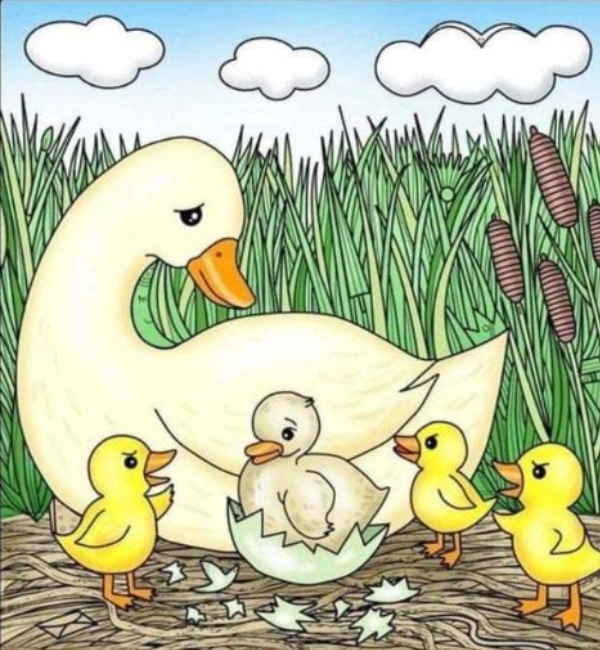 Optical illusion needle between the ducklings If you find it in 12 seconds you have sharp eyes