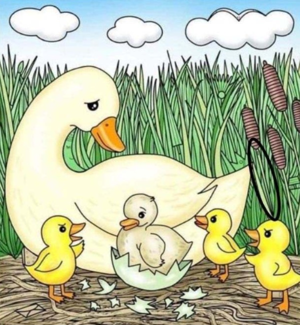 Optical illusion needle between the ducklings If you find it in 12 seconds you have sharp eyes