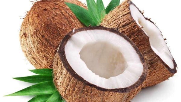 Amazing Health Benefits of Coconut and what are the Super Medicinal Uses for Coconut Flower