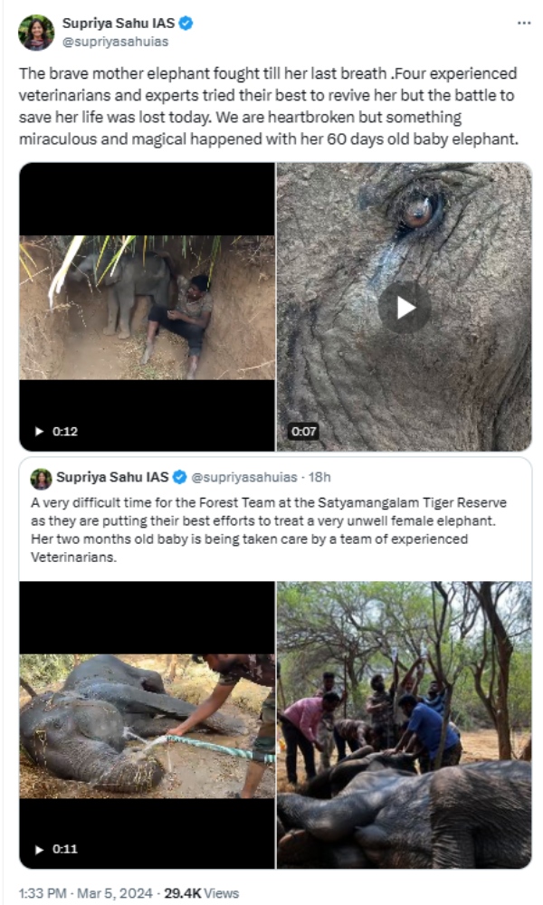 Mother Elephant fought till its last breath