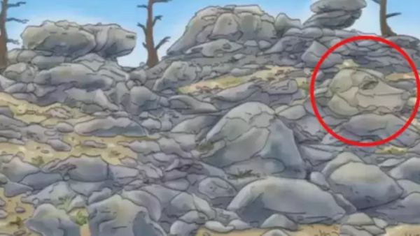 Optical Illusion Can you find out Dog around the rocks with in 6 seconds
