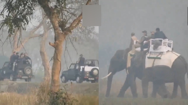 A video of Prime Minister Modi s elephant safari at Kasiranga Park in Assam is being shared on social media A video of Prime Minister Modi s elephant safari at Kasiranga Park in Assam is being shared on social media