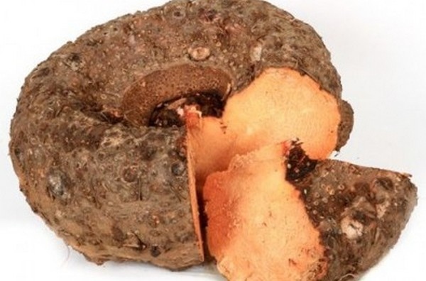 Amazing Health Benefits of Karunai Kizhangu and Elephant Foot Yam is the Super Medicine for Piles menopause