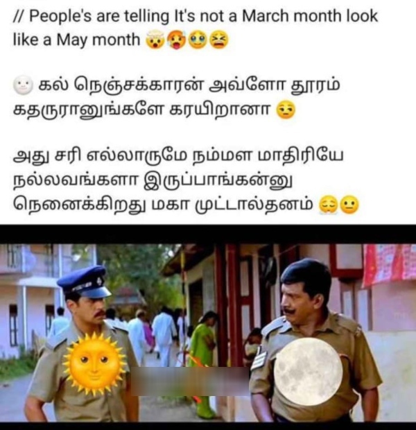 March Heat memes Funny memes collection on summar 11 03 2024