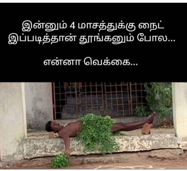 Heat memes Funny memes collection on summar 19 03 2024