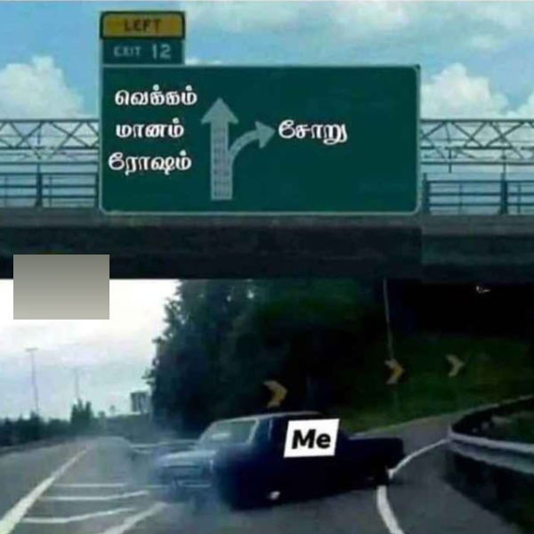 meals memes Funny memes collection on summar 17-04-24