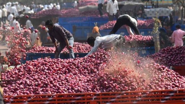 Centre gives nod to export onion after 5 months to 6 countries Centre gives nod to export onion after 5 months to 6 countries
