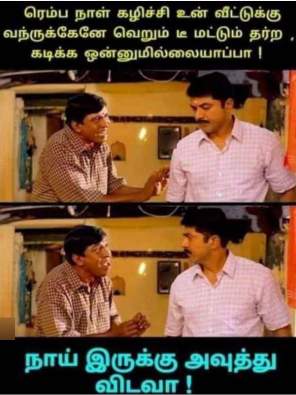 Tea lovers memes Funny memes collection on summar 12-04-2024