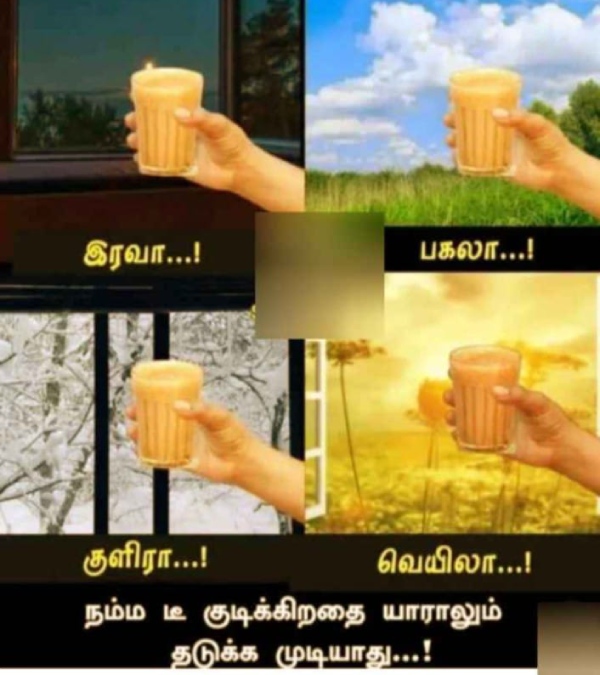 Tea lovers memes Funny memes collection on summar 12-04-2024