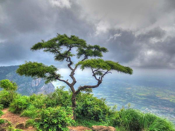 A Hill station called Nelliampathi in Kerala suits for summer