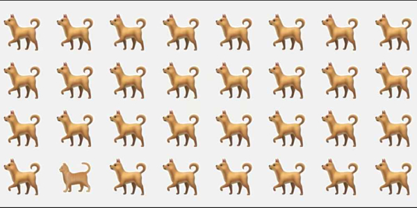 Optical Illusion Find the cat in the picture in just 3 seconds Optical Illusion Find the cat in the picture in just 3 seconds