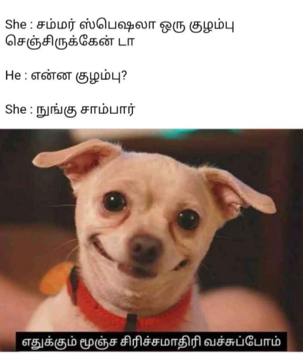 meals memes Funny memes collection on summar 17-04-24