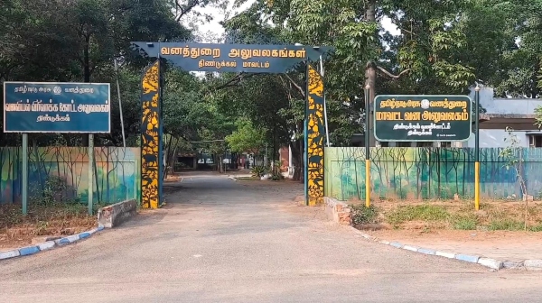 Sandalwood trees were cut and smuggled in Dindigul Sirumalai on the occasion of full moon day