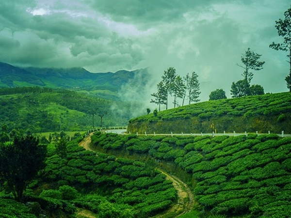 Have you traveled to Bodimettu Munnar Hill Tract A must visit place in summer 2024