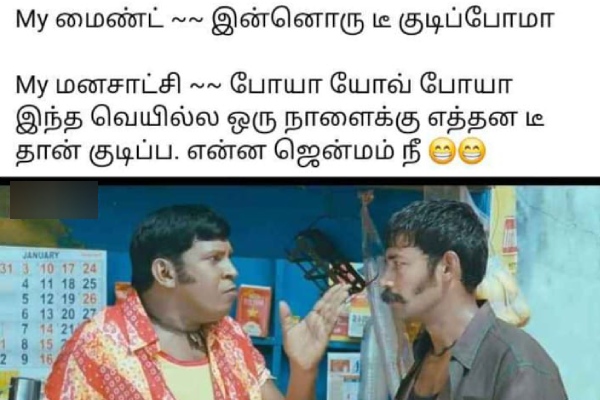 Tea lovers memes Funny memes collection on summar 12-04-2024