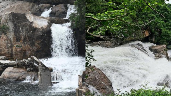 Forest Department allows tourists to bath in Manimuthar Dam