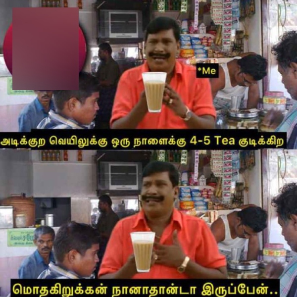 Tea lovers memes Funny memes collection on summar 12-04-2024
