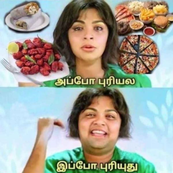 meals memes Funny memes collection on summar 17-04-24