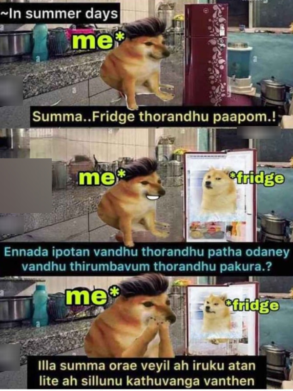 April Heat memes Funny memes collection on summar 04-04-2024