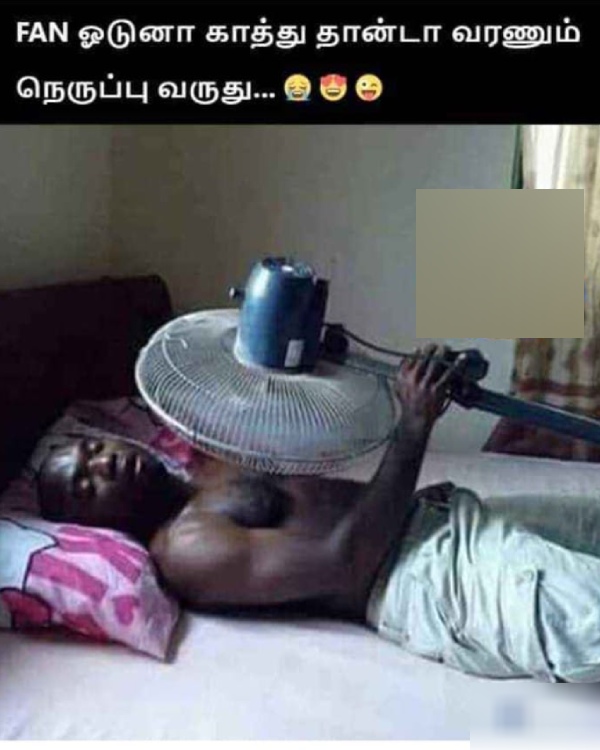 Funny memes collection on summar 26-04-24