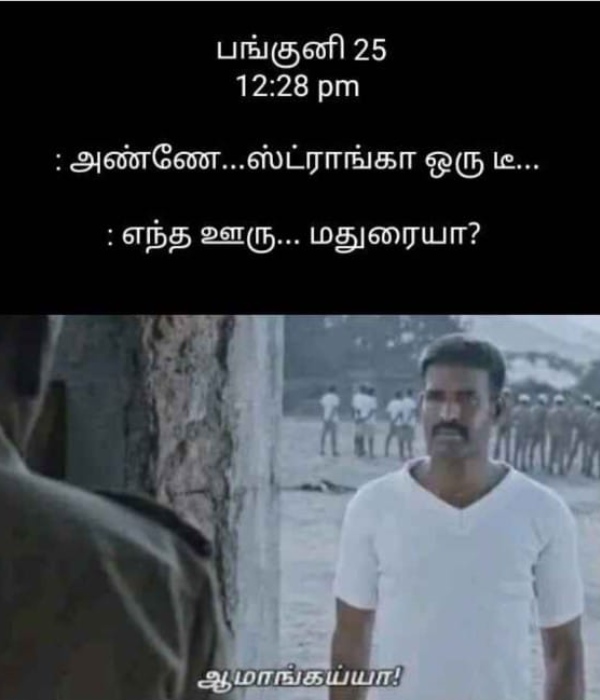 Tea lovers memes Funny memes collection on summar 12-04-2024