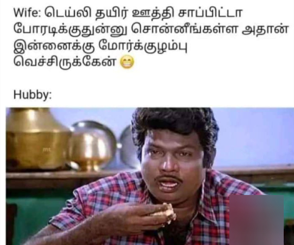 meals memes Funny memes collection on summar 17-04-24