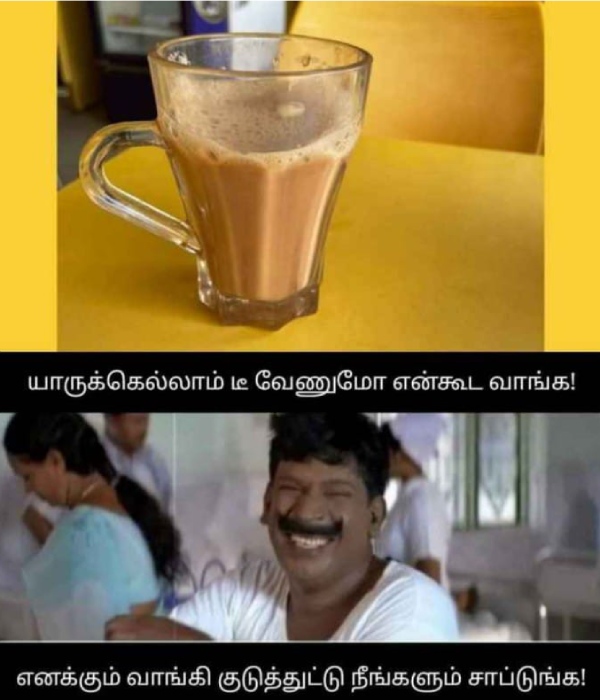 Tea lovers memes Funny memes collection on summar 12-04-2024