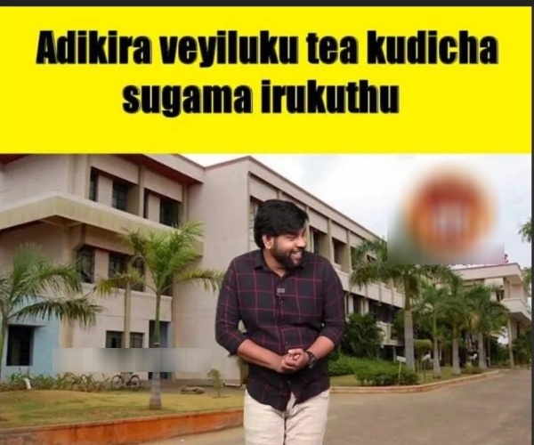 Tea lovers memes Funny memes collection on summer 24 04 2024