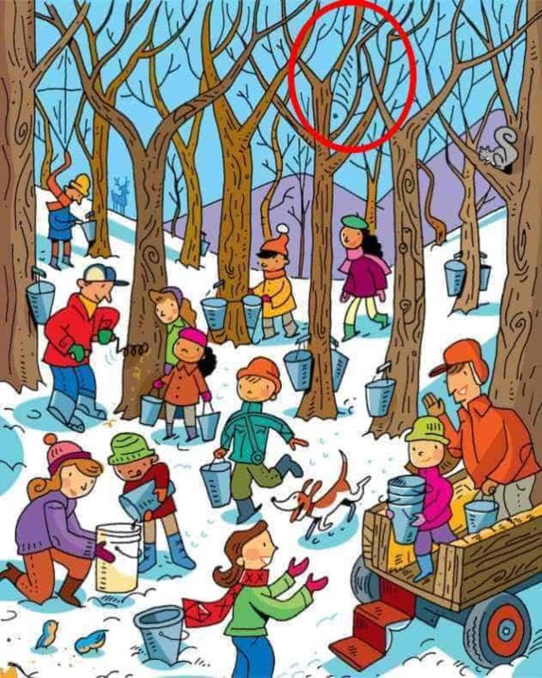 Can you find the fish in the optical illusion picture