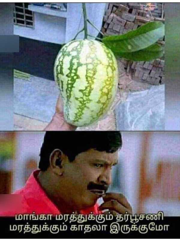 Funny memes collection on summar 26-04-24