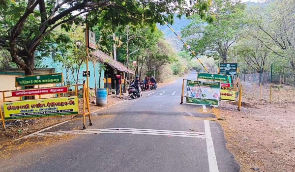 Sandalwood trees were cut and smuggled in Dindigul Sirumalai on the occasion of full moon day