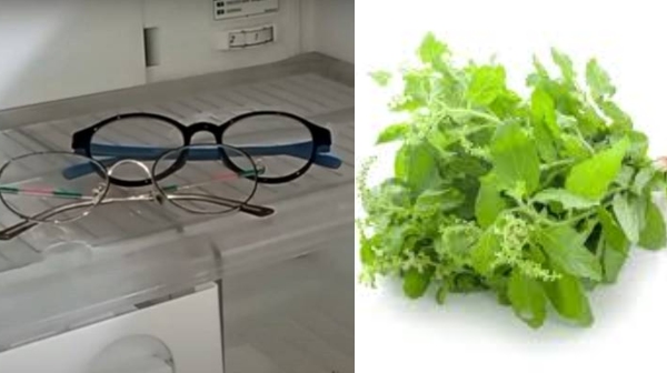 Amazing Tips about Fridge and which foods you should not put in the Refrigerator can we keep Specs in Freezer