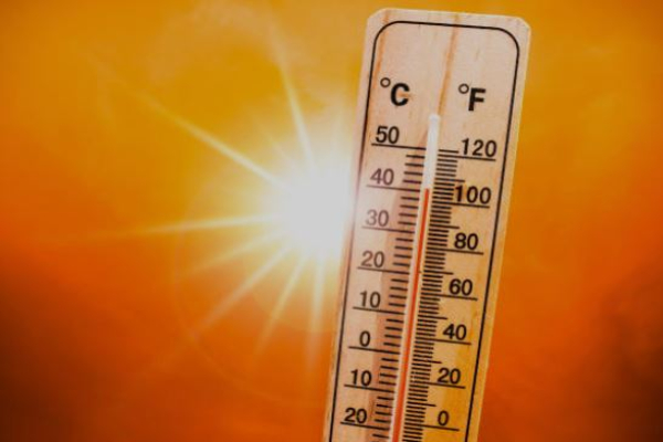 Yellow Alert for Tamil Nadu