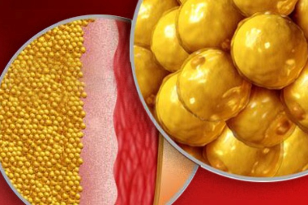 Do you know the Best Benefits of Sabja Seeds and What are the Super 3 Seeds to reduce Belly fat Weight Loss Do you know the Best Benefits of Sabja Seeds and What are the Super 3 Seeds to reduce Belly fat Weight Loss