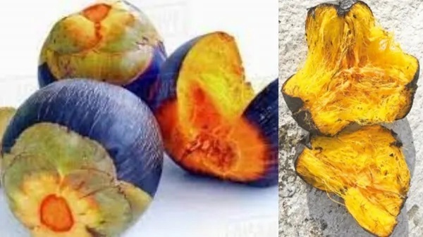 Do you know Amazing Medicinal Uses of Panam Pazham and Can Sugar Patients take Palm Fruit Juice Do you know Amazing Medicinal Uses of Panam Pazham and Can Sugar Patients take Palm Fruit Juice