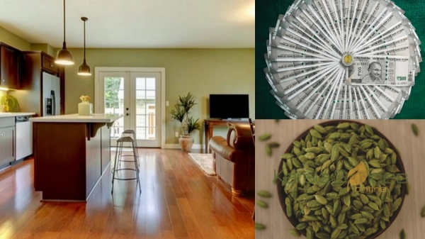 How to become wealthy by using Yelakkai