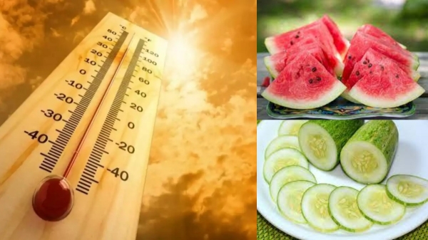 5 foods to eat and 5 foods not to eat for health during summer 5 foods to eat and 5 foods not to eat for health during summer