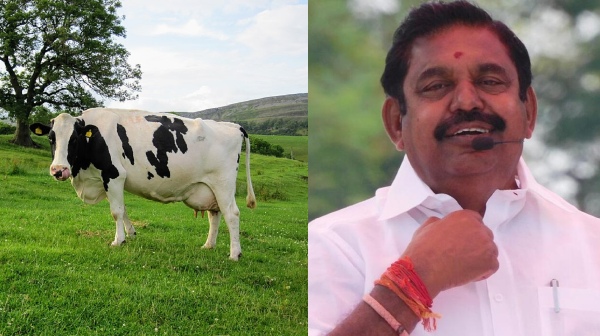 A dairy cow in America milks 65 liters of milk a day said Edappadi Palaniswami