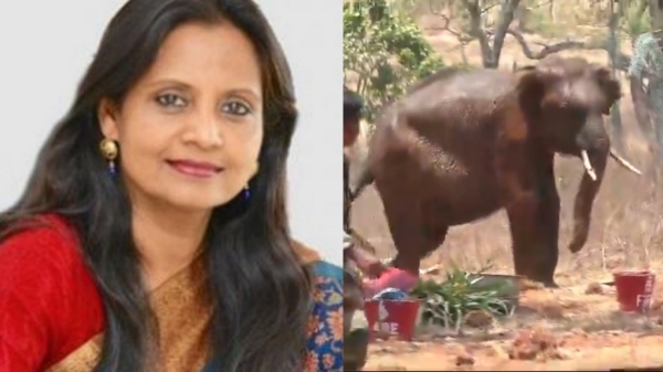 Nilgiris forest department treatment on wild elephant in mudumalai Patta Land and supriya sahu IAS praises the crew