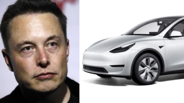 Why Elon Musk cancels India trip 20 crore loss to Tamil Nadu