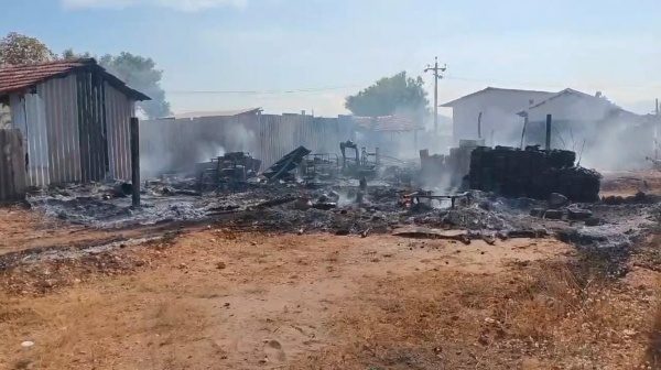 Coimbatore fire accident 50 houses have been gutted