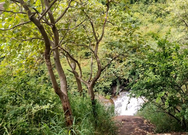 A waterfall near Dindigul to enjoy a summer vacation
