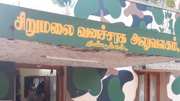 Sandalwood trees were cut and smuggled in Dindigul Sirumalai on the occasion of full moon day