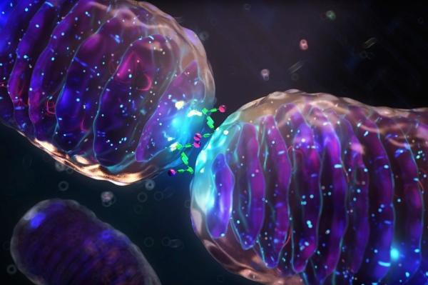 Two life forms merge into one organism in a phenomenon that occurs once in a billion years Two life forms merge into one organism in a phenomenon that occurs once in a billion years