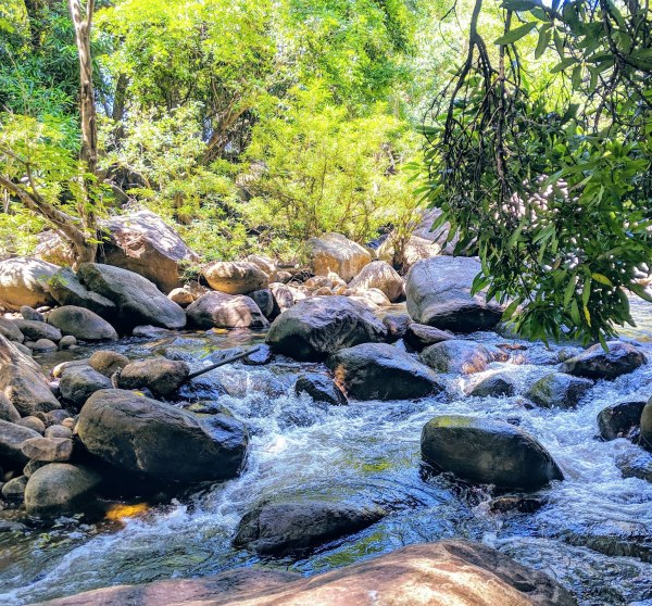 Kallar is a natural swimming pool at the foothills of Kodaikanal
