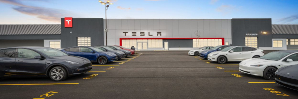 Why Elon Musk cancels India trip 20 crore loss to Tamil Nadu