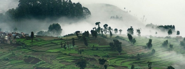 Super Climate Than Vagaman Munnar Tourist Destinations List Of Tamilnadu Tourist places For Summer