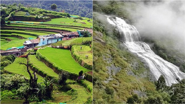 Kodaikanal tourists should not go to some hill villages because of wildlife camping