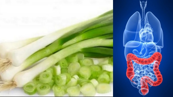 Do you know the Amazing Health Uses of Spring Onion and spring onion is the Best prevention food for Colon cancer