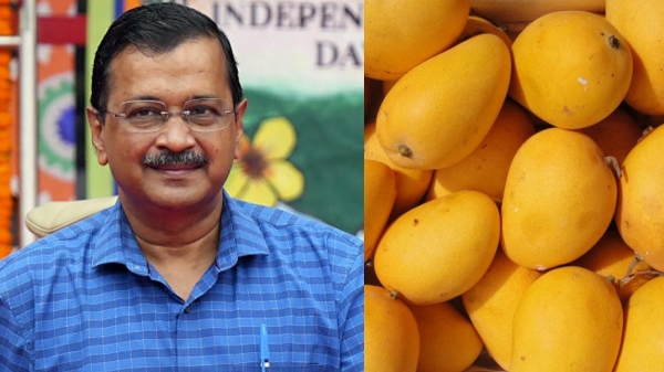 arvind Kejriwal eats too many mangoes and sweets deliberately for getting bail ED alleges